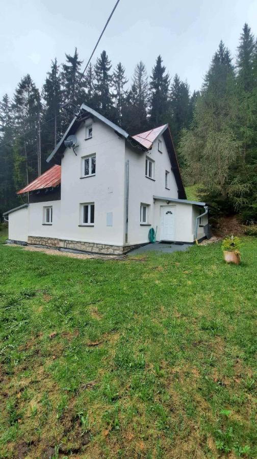 Dum U Lesa - Nove Hamry Villa Екстериор снимка