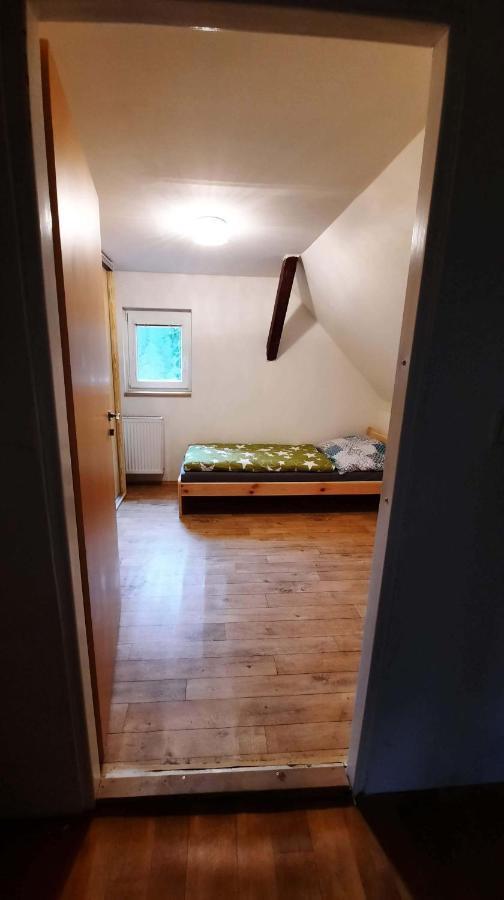 Dum U Lesa - Nove Hamry Villa Екстериор снимка